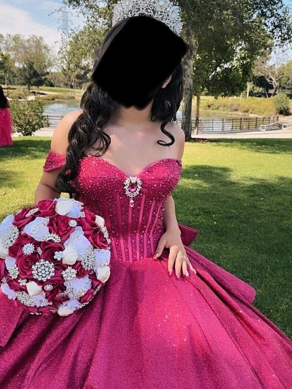 Quinceañera dress